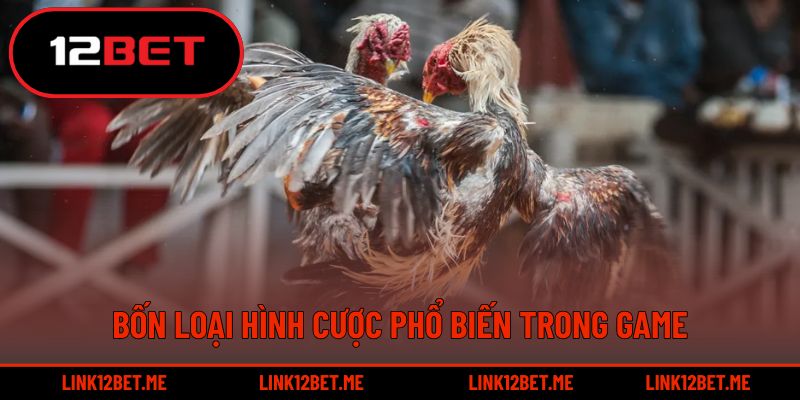 Bốn loại hình cược phổ biến trong game