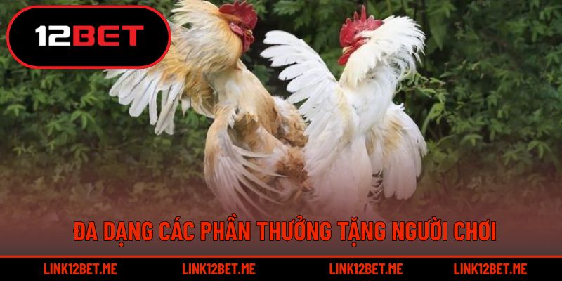 Đa dạng các phần thưởng tặng người chơi 