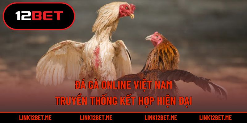 Đá gà online Việt Nam