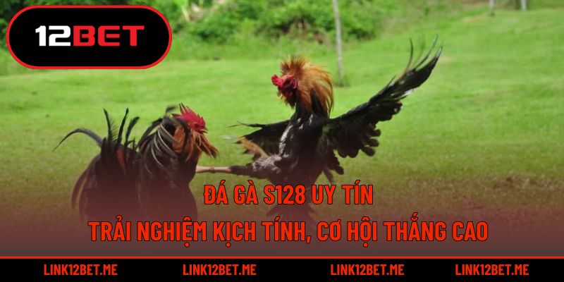 Đá gà S128 uy tín
