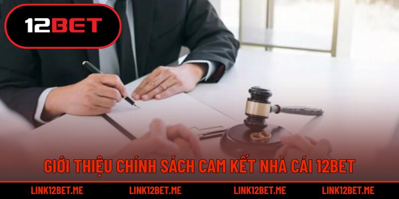 Chi tiết thông tin giới thiệu chính sách cam kết
