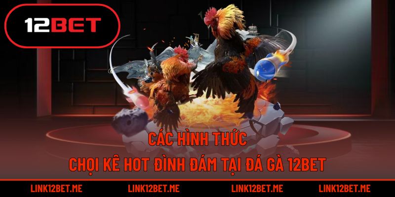 Đá gà 12BET quy tụ nhiều hình thức chọi kê đình đám