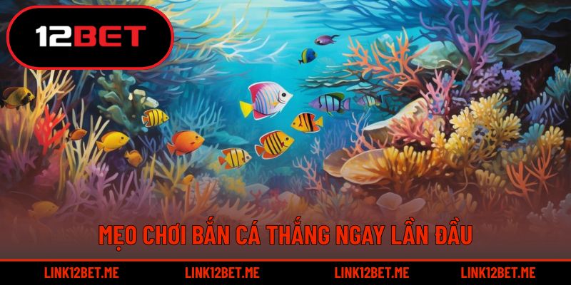 Mẹo chơi bắn cá thắng ngay lần đầu