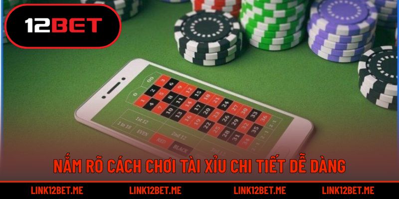 Nắm rõ cách chơi tài xỉu chi tiết dễ dàng