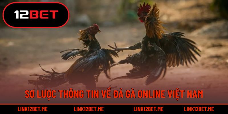 Sơ lược thông tin về đá gà online Việt Nam