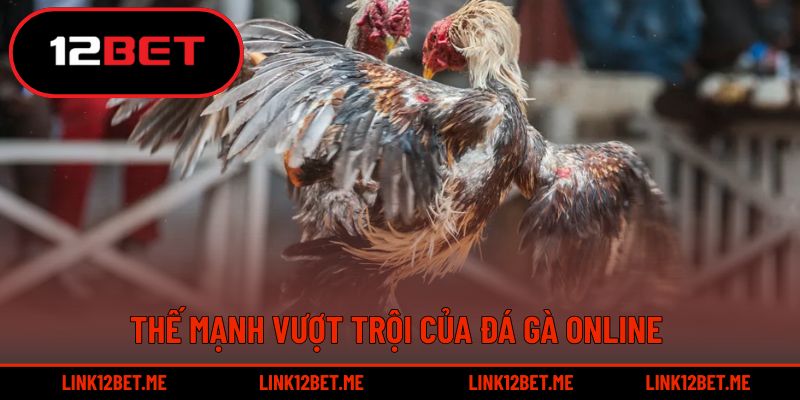 Thế mạnh vượt trội của đá gà online 