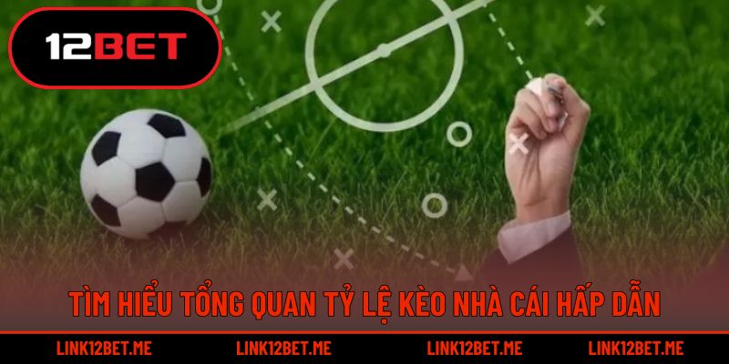 Tìm hiểu tổng quan tỷ lệ kèo nhà cái hấp dẫn