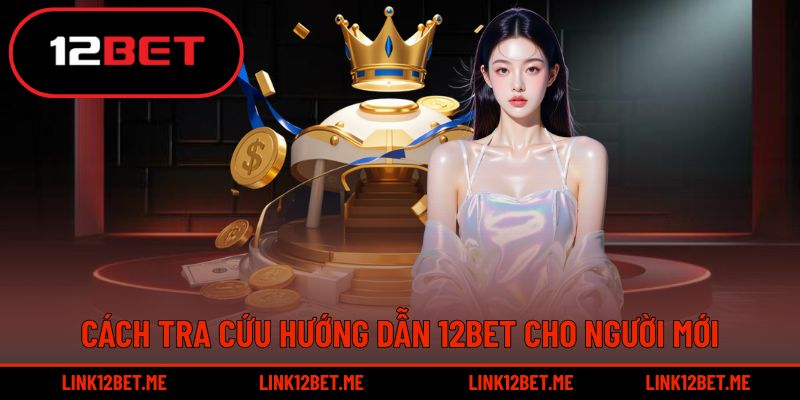 Người mới có thể tìm hiểu cách tra cứu thông tin