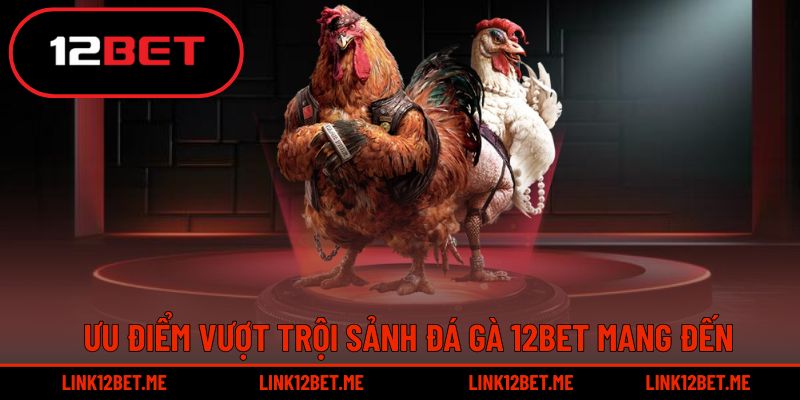 12BET cung cấp trải nghiệm đá gà với hàng loạt ưu điểm đáng chú ý
