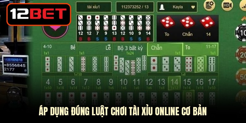 Áp dụng đúng luật chơi tài xỉu online cơ bản