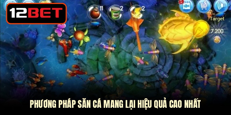 Phương pháp săn cá mang lại hiệu quả cao nhất